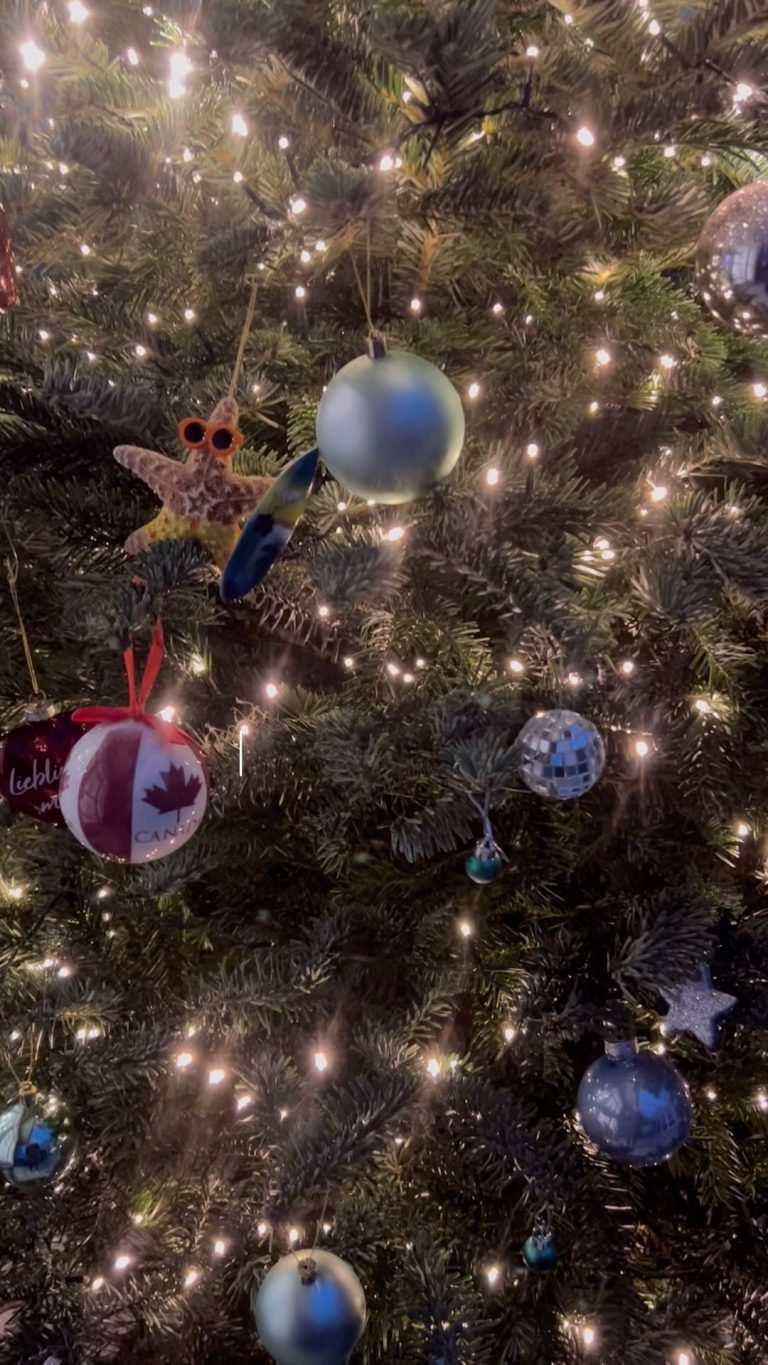 Instagram post from syc_segelyachtcharter_schulz. This post is in position 19.